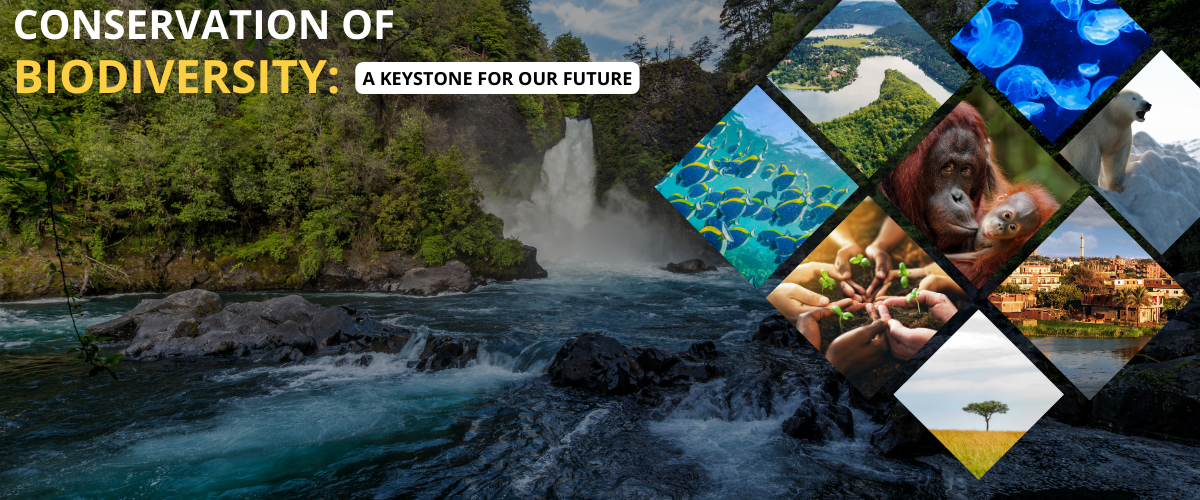 Conservation of Biodiversity WEBSITE