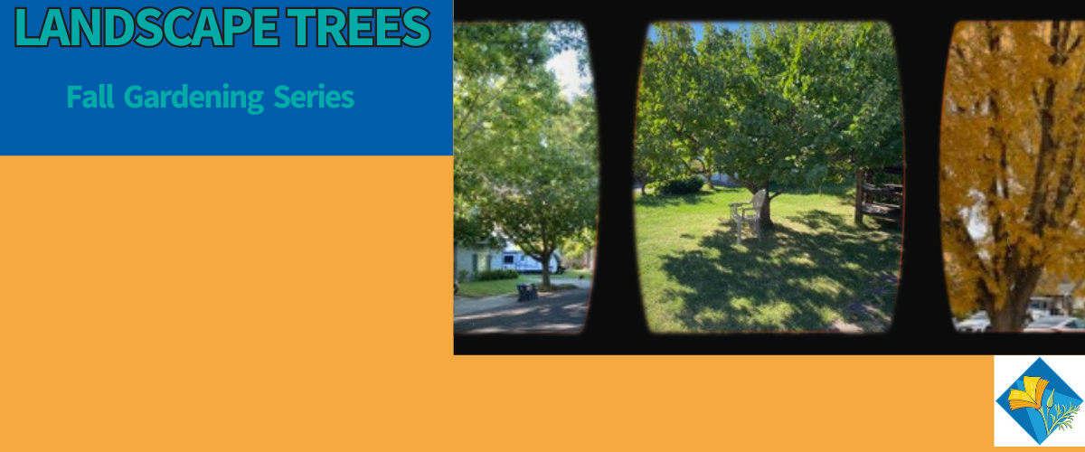 Fall Gardening Series Landscape Trees WEBSITE