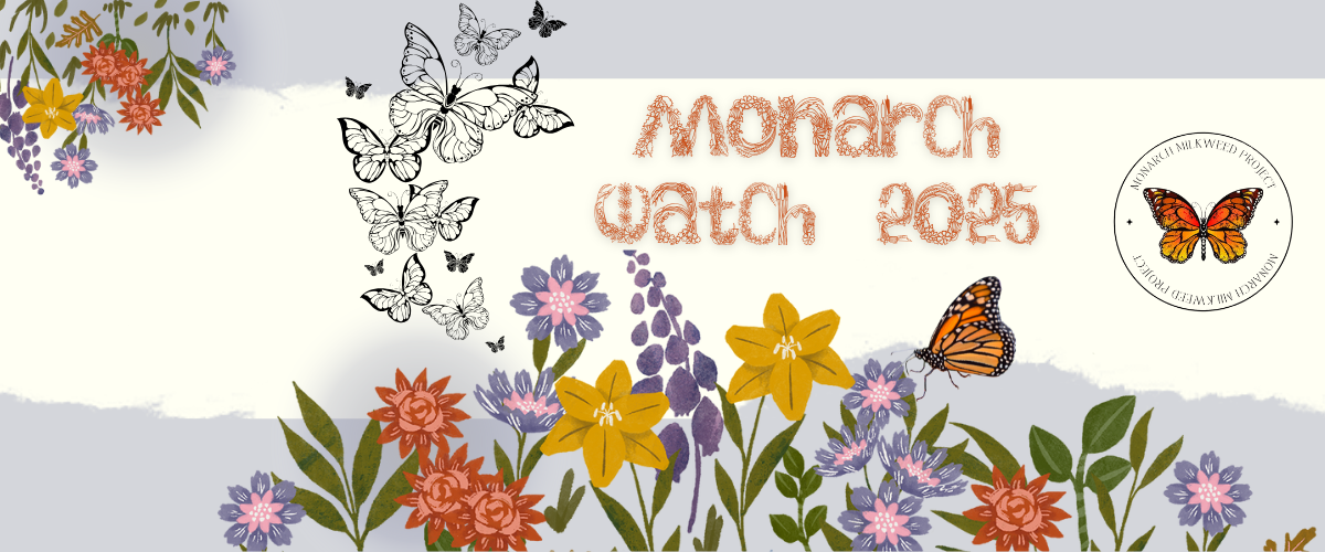 Monarch Watch 2025 WEBSITE