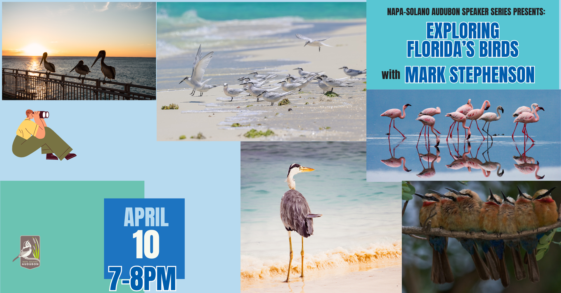 Napa Solano Audubon Speaker Series Presents Exploring Floridas Birds FB EVENT