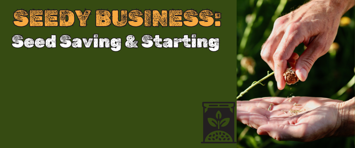Seedy Business Master Gardener WEBSITE