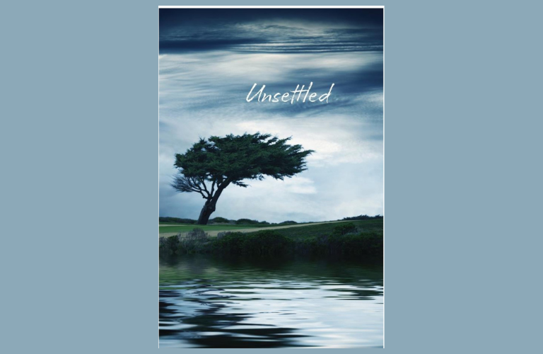 Unsettled WEBSITE