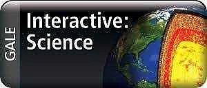 Gale interactive