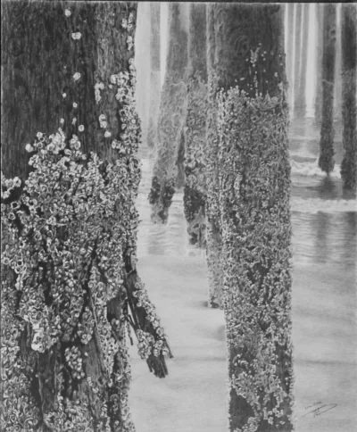https://benicialibrary.org/uploads/Low-TideS.JPG